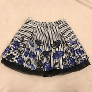 Express Skirt